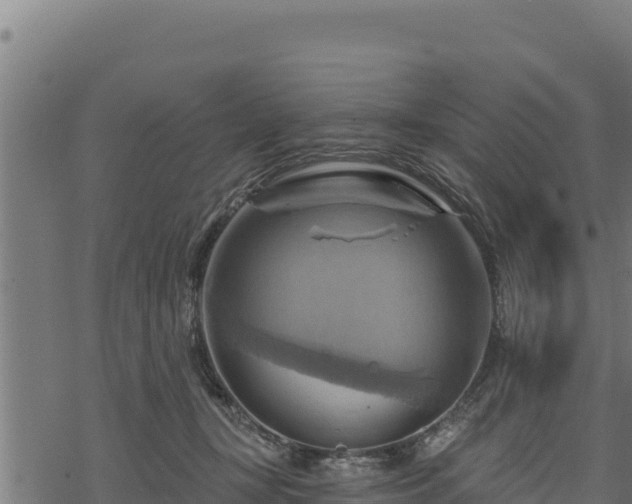 X0000068820367200605121322