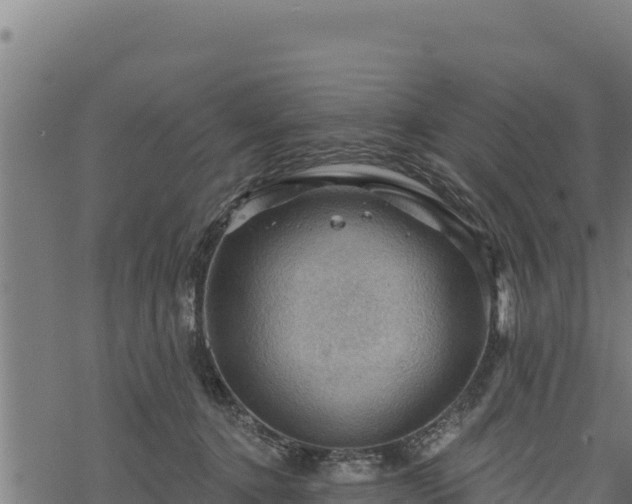 X0000068820368200605121322