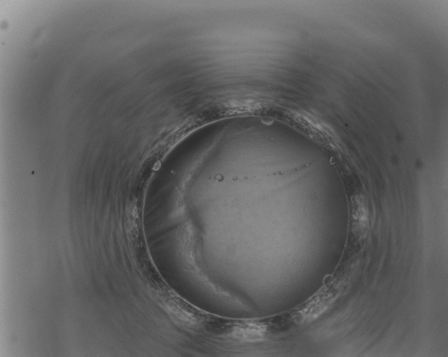 X0000068820369200605121322