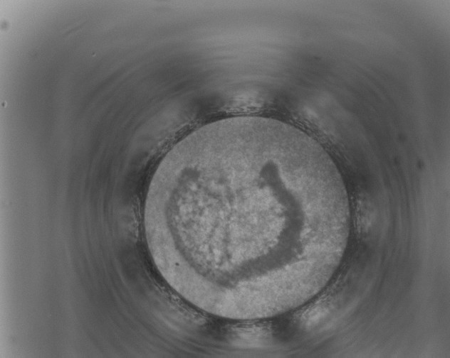 X0000068820370200605121322