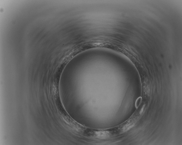 X0000068820371200605121322