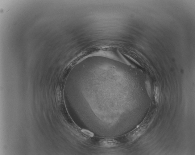 X0000068820372200605121322