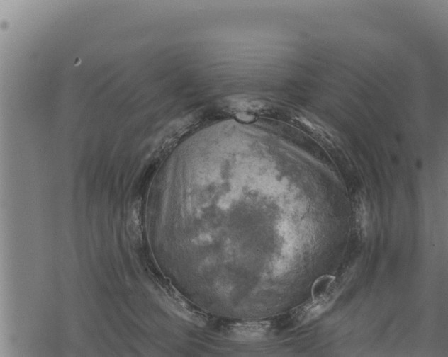 X0000068820373200605121322