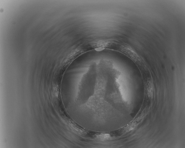 X0000068820374200605121322