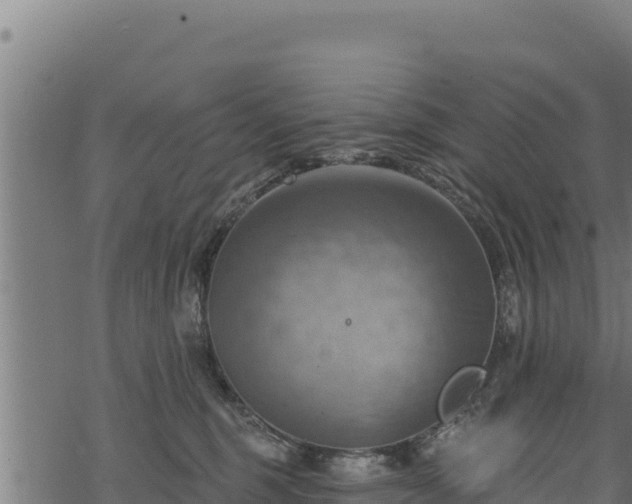 X0000068820375200605121322