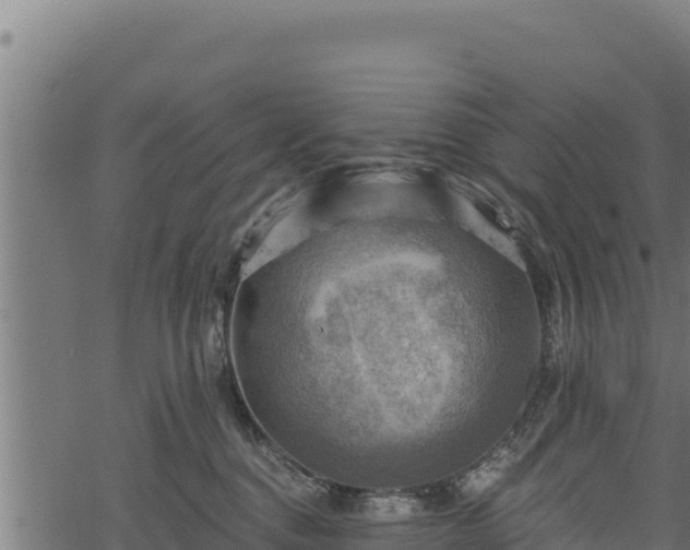 X0000068820376200605121322