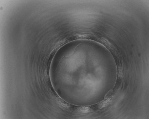 X0000068820377200605121322