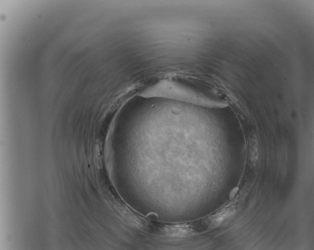 X0000068820378200605121322