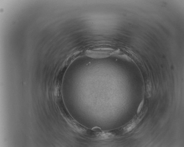 X0000068820379200605121322