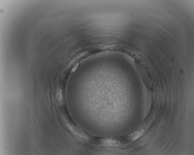 X0000068820380200605121322