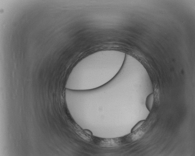 X0000068820381200605121322