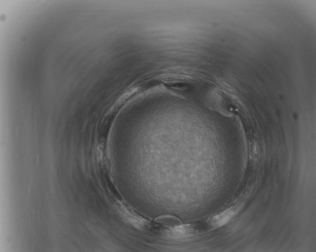 X0000068820382200605121322