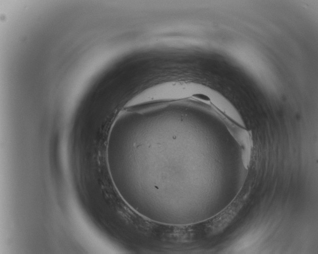 X0000068820383200605121322