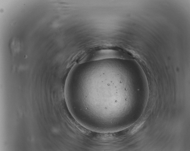 X0000068820384200605121322