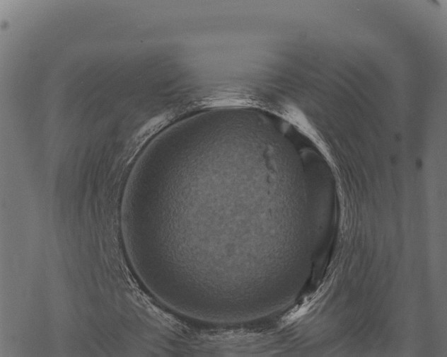 X0000068820385200605121321