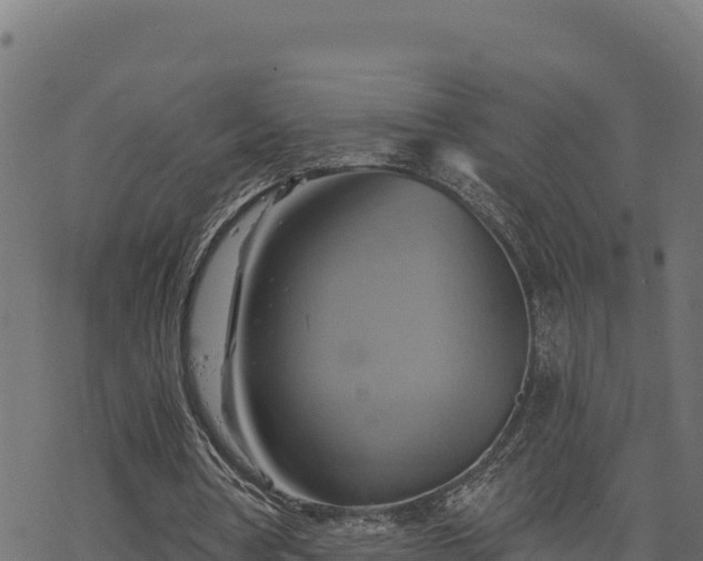 X0000068820386200605121321