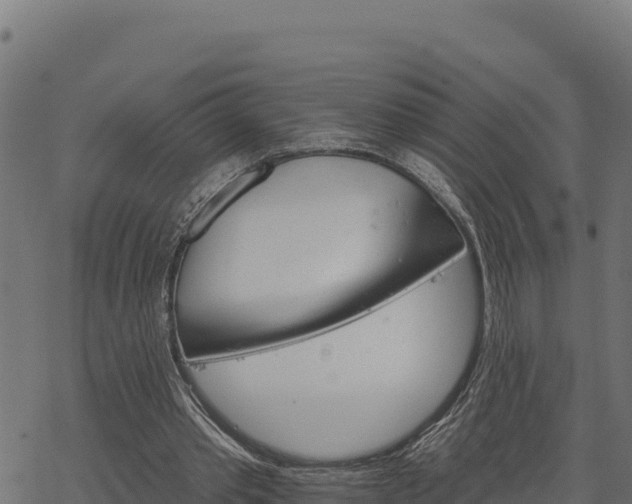 X0000068820389200605121321