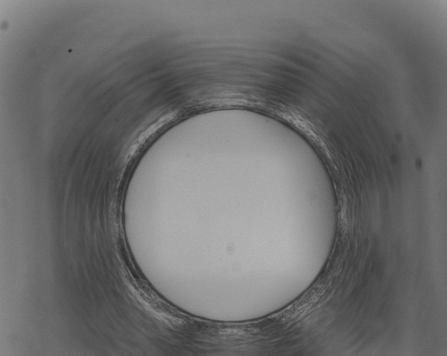 X0000068820390200605121321