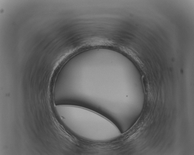 X0000068820391200605121321