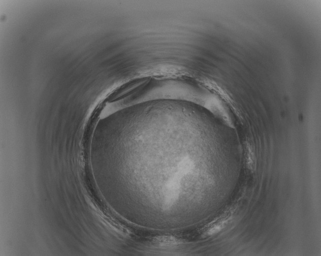 X0000068820392200605121321