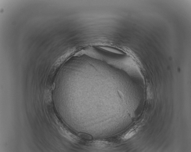 X0000068820393200605121321