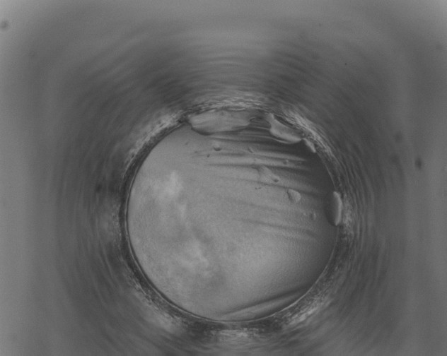 X0000068820394200605121321