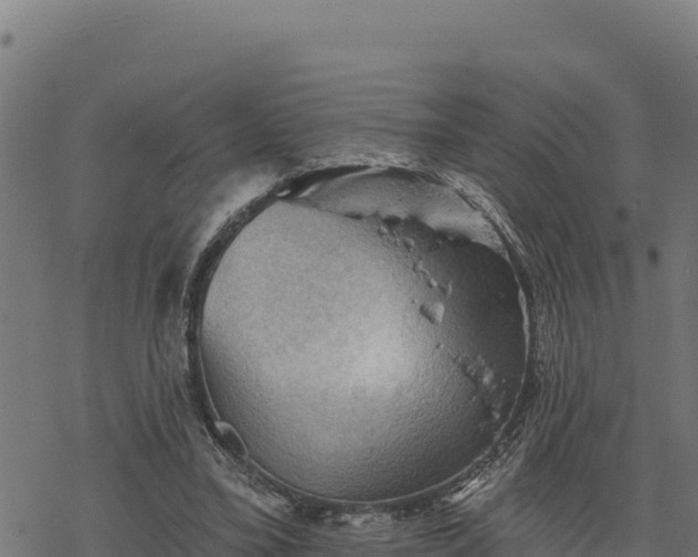 X0000068820395200605121321