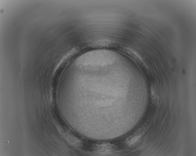 X0000068820396200605121321