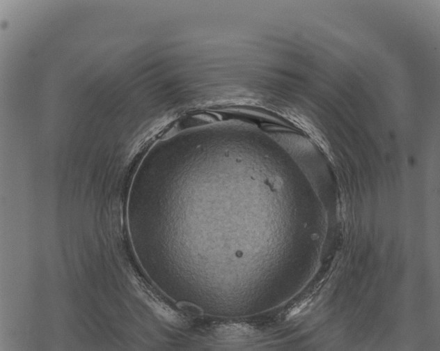 X0000068820397200605121321