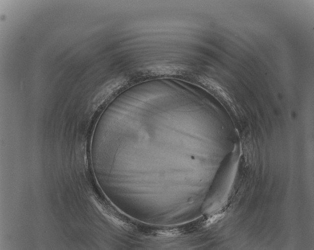 X0000068820398200605121321