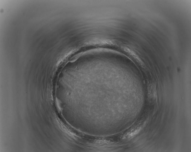 X0000068820399200605121321