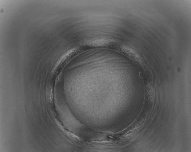 X0000068820400200605121321