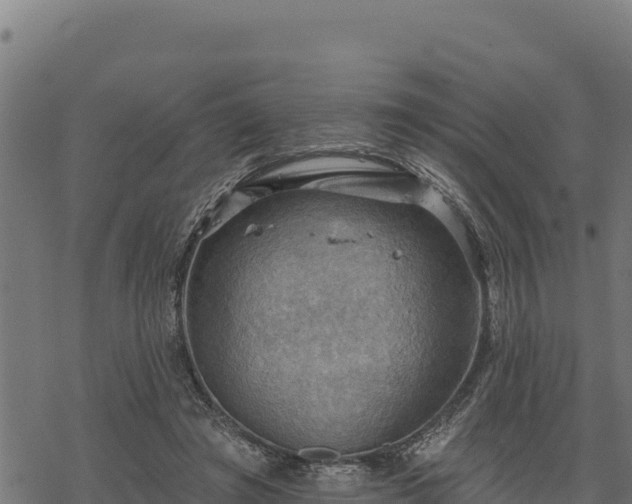 X0000068820401200605121321