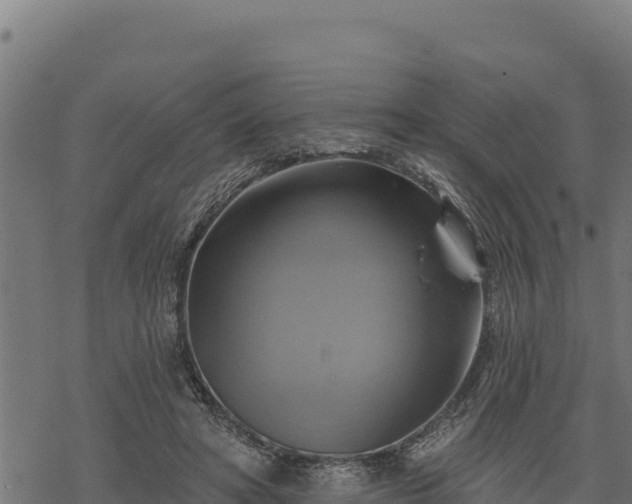 X0000068820402200605121321