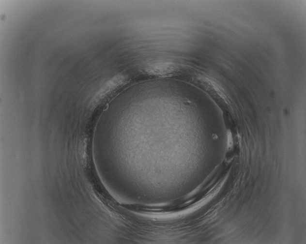 X0000068820404200605121321