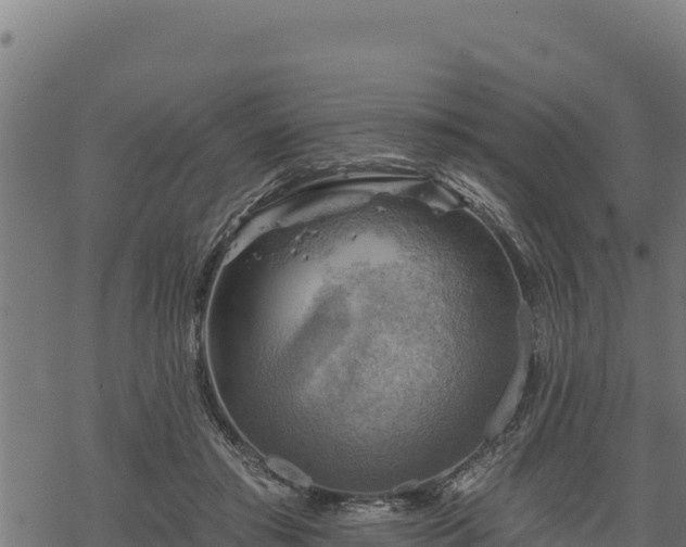 X0000068820405200605121321