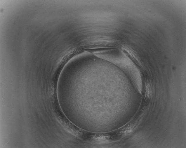 X0000068820407200605121321