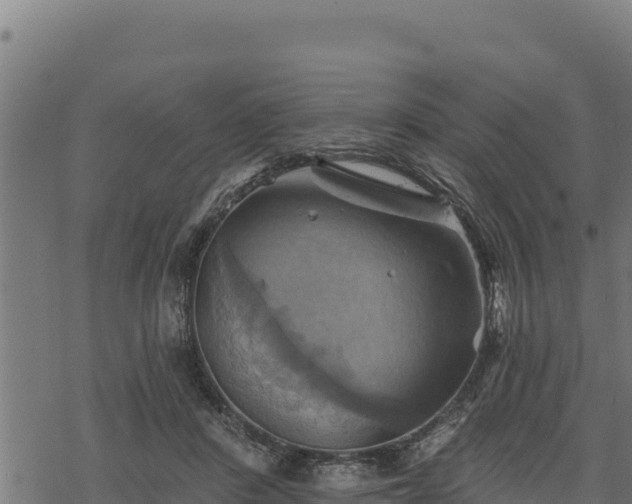 X0000068820408200605121321