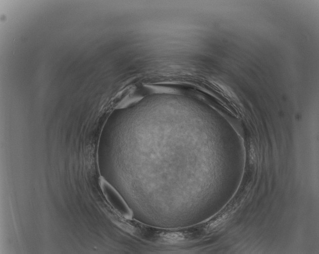 X0000068820409200605121321