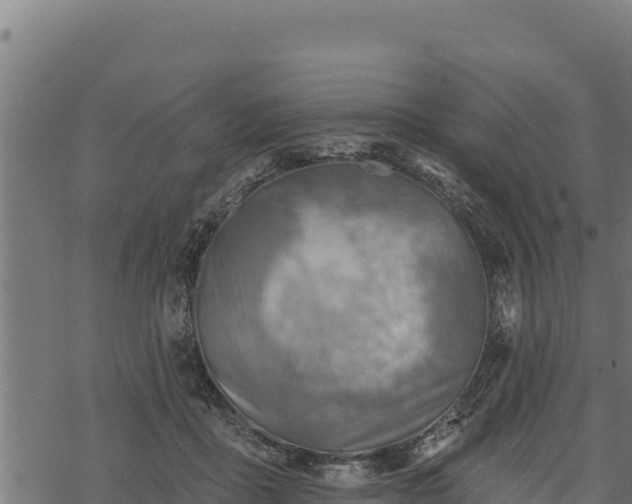 X0000068820411200605121321