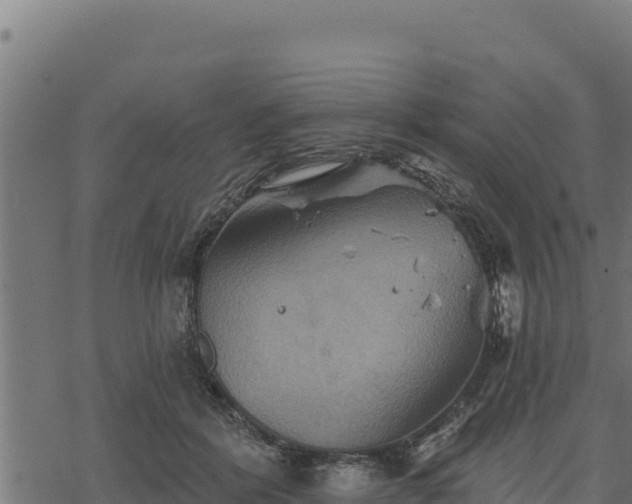 X0000068820412200605121321