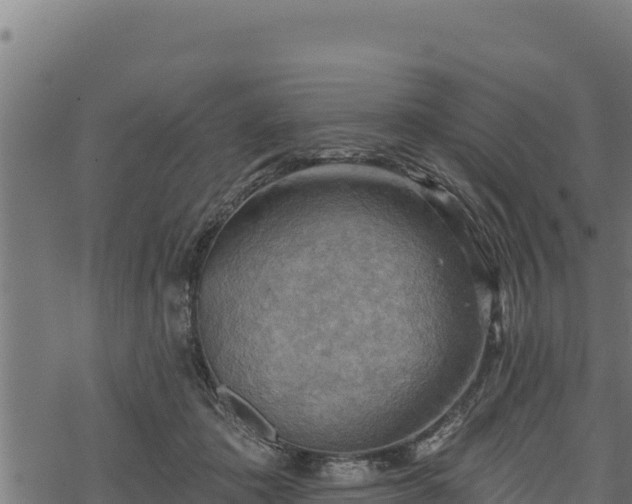 X0000068820413200605121321