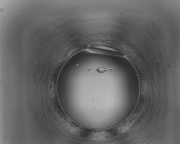 X0000068820414200605121321