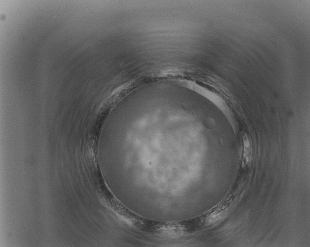 X0000068820415200605121321