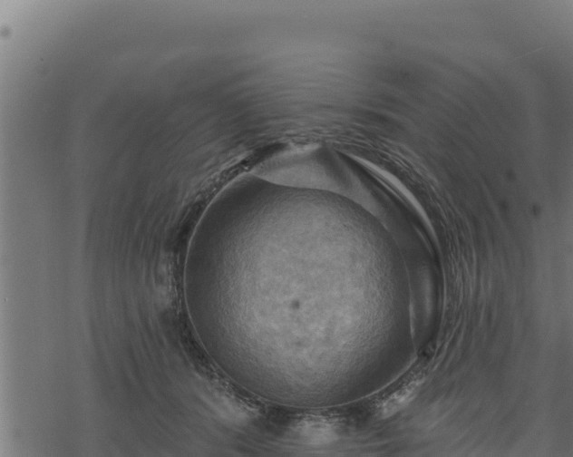 X0000068820416200605121321