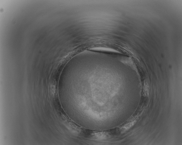 X0000068820417200605121321