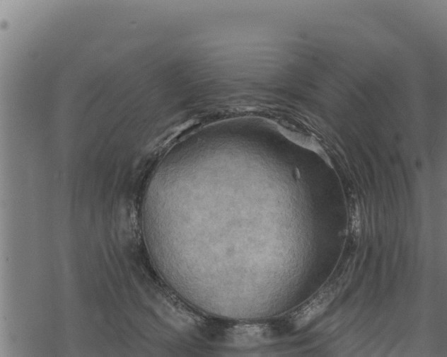 X0000068820418200605121321