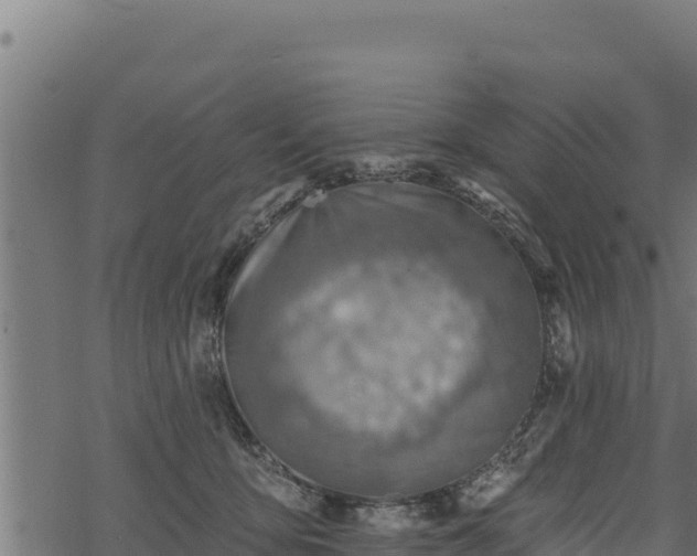 X0000068820419200605121321