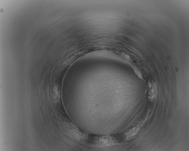 X0000068820420200605121321