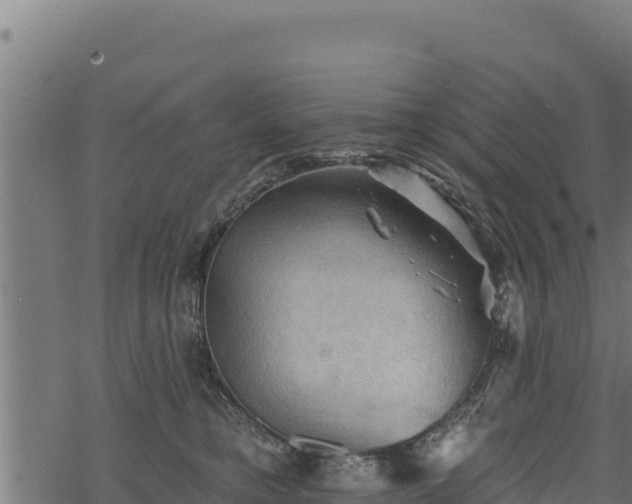 X0000068820421200605121320